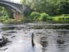 2007 salmon fishing on the River Spey in Scotland 