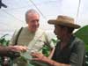 2003 in Cuba on the cigar tobacco plantation. 