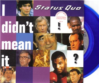 blaue Vinyl-Single 'I didnt mean it'
